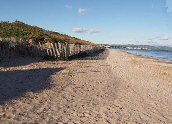 Badine Beach 5P Plage Piscine Balneo Clim Jardin Exotique イエール エクステリア 写真